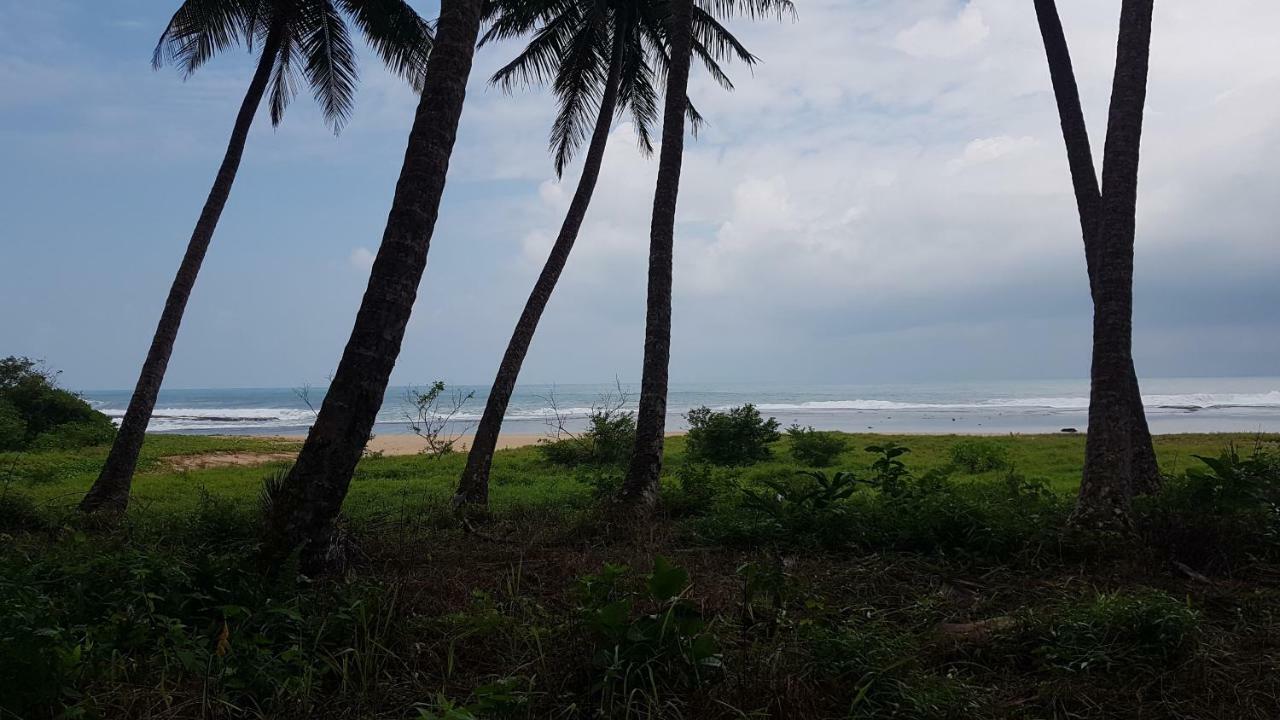 Oseda Nias Surf House Hotel Hilibotodane Exterior photo